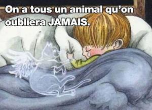 1420235405_1_4_Q0lvR